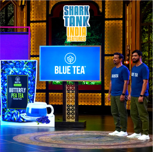 Blue Tea Butterfly Pea Flower Tea | 300 Teabags