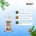 Sharmayu Ayurveda Panch Tulsika Drops