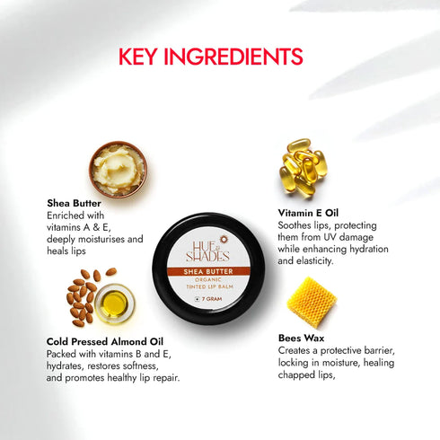 Hue And Shades Organic Shea Butter Tinted Lip Balm