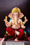 Eco friendly Shivrekar