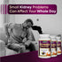 Jeena Sikho GFR Powder Ayurvedic Kidney and Urinary Wellness Support