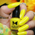 Moraze Cosmetic Mini Nail Polish
