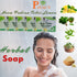 Payal Sabu Dravyam Herbal Soap 100gm