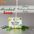 Payal Sabu Dravyam Herbal Soap 100gm