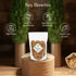 NatureVit Soya Chunks (Soyabean Wadi)