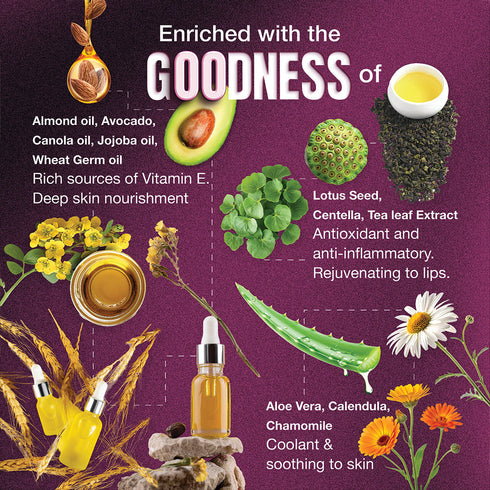 Dazller Cosmetics Eterna Combo Pack: Long Stay Lip Colour + All Clear Makeup Remover