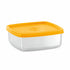 Milton Steel Pro Rectangular Lunchbox