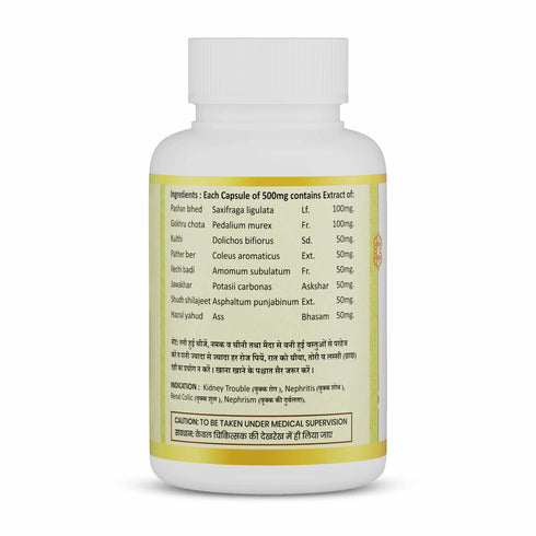 Jeena Sikho Stoni Capsules Ayurvedic Kidney Stone Care and Urinary Support
