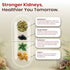 Jeena Sikho Stoni Capsules Ayurvedic Kidney Stone Care and Urinary Support