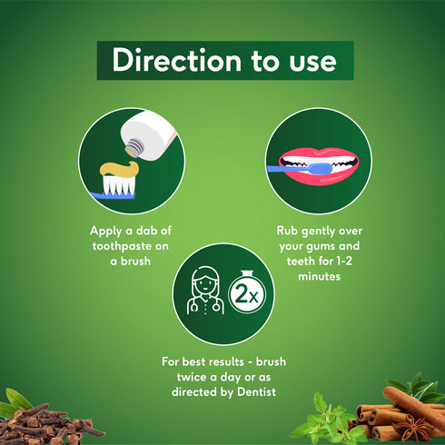 Sri sri tattva sudanta gel toothpaste