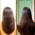Theearthcollective in Sun Protection Hair Serum Alfalfa Argan & Orange