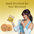 Nourish You Sunflower seeds | Vitamin E-Rich and Antioxidant Rich