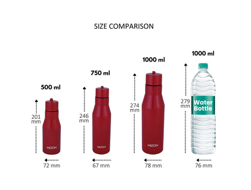 Milton Super Stainless Steel Bottle