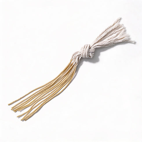 Wiselife Sutra Neti (Set of 10)