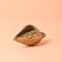 Samskara Home Swirl Shankh