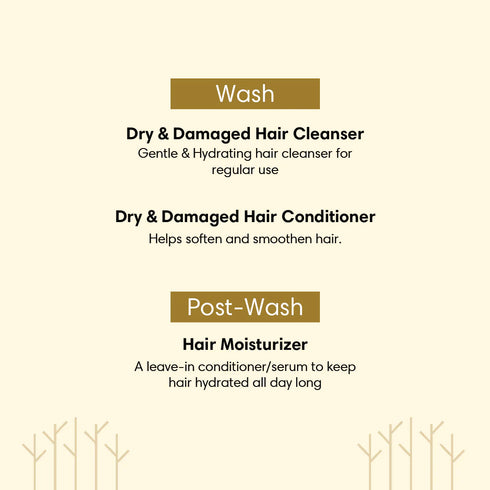 The Earth Collective Dry & Rough Hair Regime