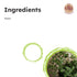 Ella Foods Thyme- 40g Each