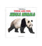 Touch and Feel - Jungle Animals (English)