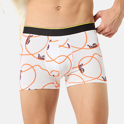 Bummer Modal Stretch Trunks - Whee
