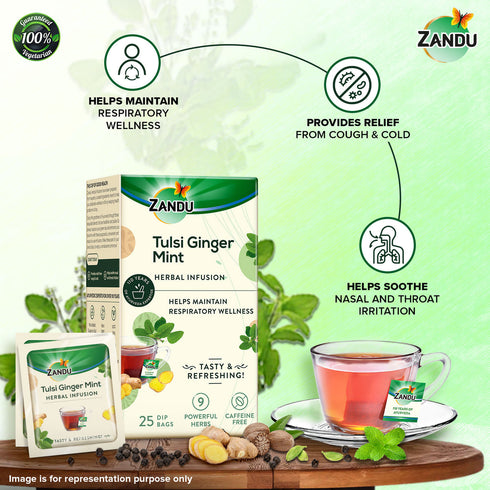 Zandu Tulsi Ginger Mint Herbal Infusion