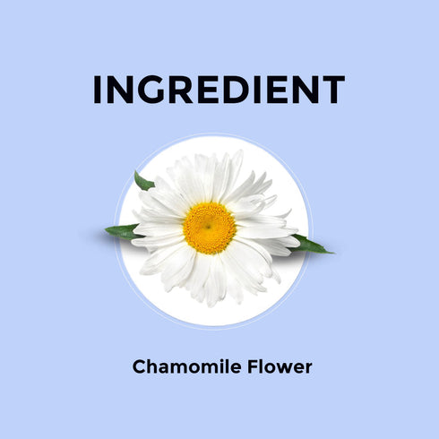 Blue Tea Chamomile Flower Tea