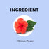 Blue Tea Hibiscus Flower Tea