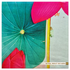 Back Drop India Kamal Pushp Saaj