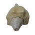 Curved Vishnu Shankh for Spiritual Practices