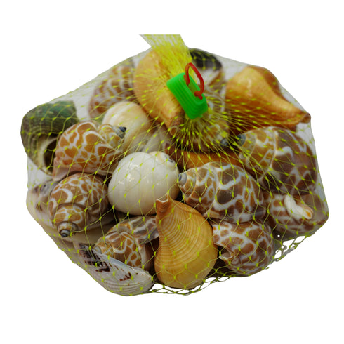 Shankh Seepiya Collection | Natural Sea Shells ( pack of 4)