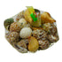 Shankh Seepiya Collection | Natural Sea Shells ( pack of 4)