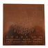 Copper Shri Surya Yantra for Home & Office
