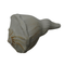 Laxmi Shankh for Wealth & Prosperity | Puja Conch
