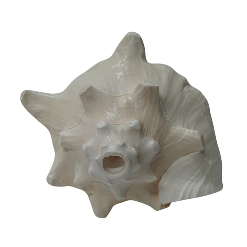 Mahabharat Shankh | Traditional Hindu Puja Conch