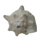 Mahabharat Shankh | Traditional Hindu Puja Conch