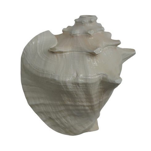 Mahabharat Shankh | Traditional Hindu Puja Conch