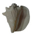 Mahabharat Shankh | Traditional Hindu Puja Conch