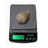 Vishnu Shankh Original Conch for Daily Puja
