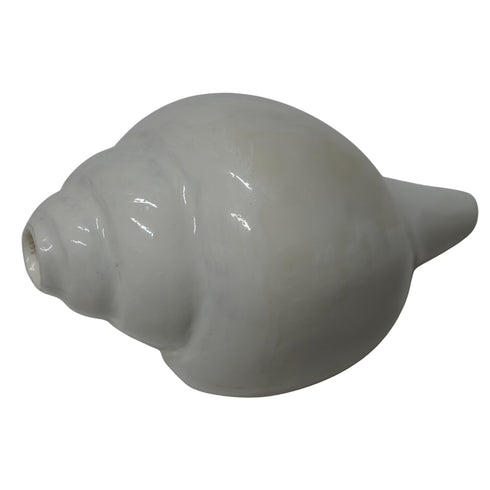 Premium Vishnu Shankh for Puja & Meditation