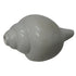 Premium Vishnu Shankh for Puja & Meditation