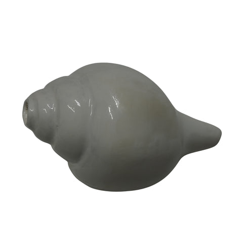 Premium Vishnu Shankh for Puja & Meditation
