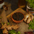 Bhimavaram Allam Kothimeera Pickle