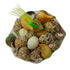 Shankh Seepiya Collection | Natural Sea Shells ( pack of 4)