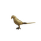 Brass Showpiece Table Decor Parrot Statue 1.58kg