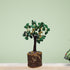 Green Jade Small Crystal M Seal Tree With 48 Beads