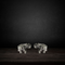Pure Silver Elephant Pairs 42g