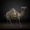 Brass Showpiece Camel Statue 2.86kg