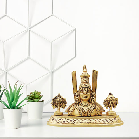 Brass Showpiece Tirupati Bala Ji Statue 1.4Kg