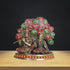 Brass Radha Krishna with Tree Statue 7.72Kg