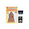 Natural Clay Ganesha Idol Making Mold DIY Kit Metallic Wax