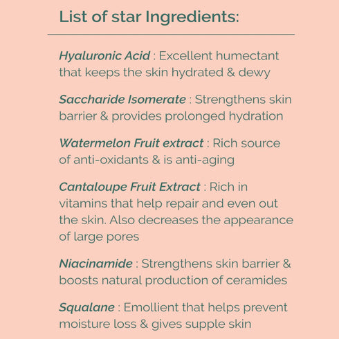 Bliscent Olive Squalane & Cantaloupe Gel Moisturizer